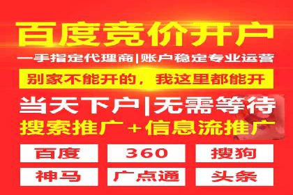 SEM竞价推广案例：打造行业领先的广告投放策略